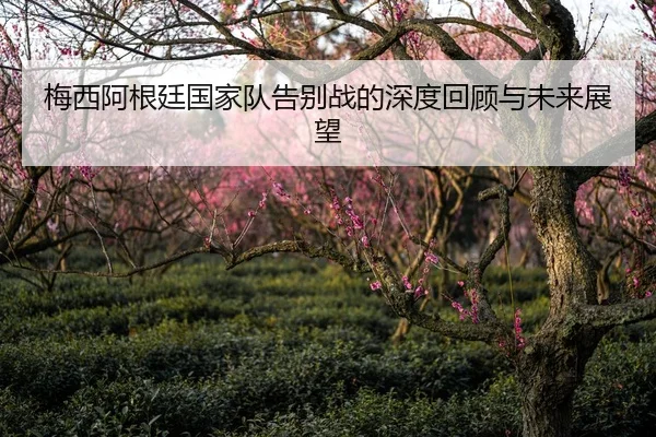 梅西阿根廷国家队告别战的深度回顾与未来展望